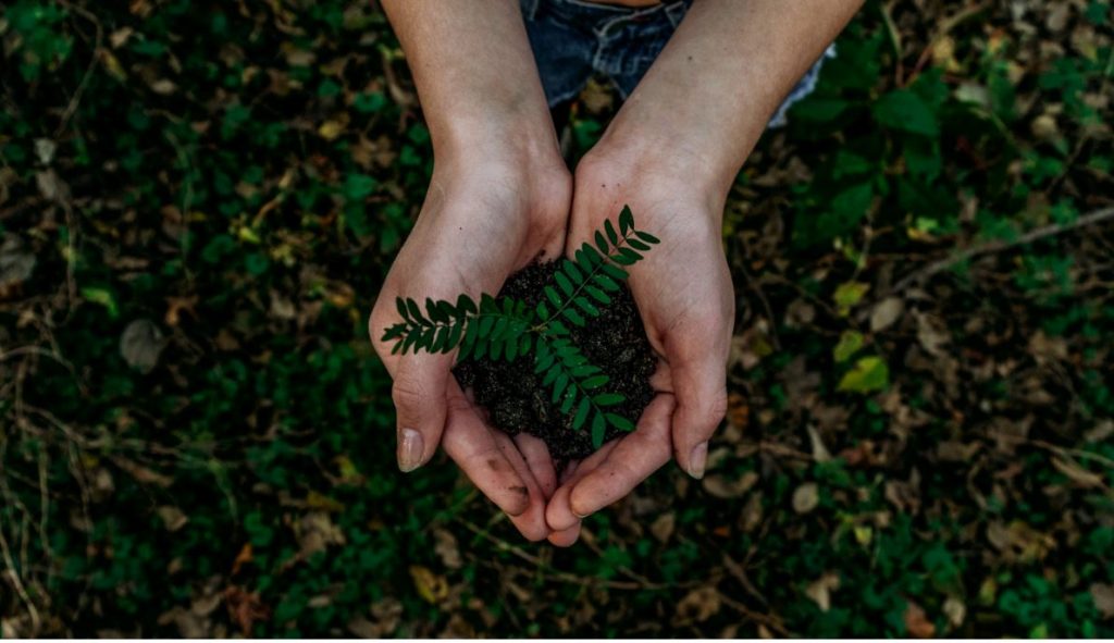 Ruke koje drže biljku s zemljom - čuvajmo prirodu